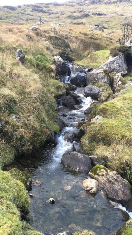 مبيت وإفطار ريسيس Railway View - Connemara المظهر الخارجي الصورة